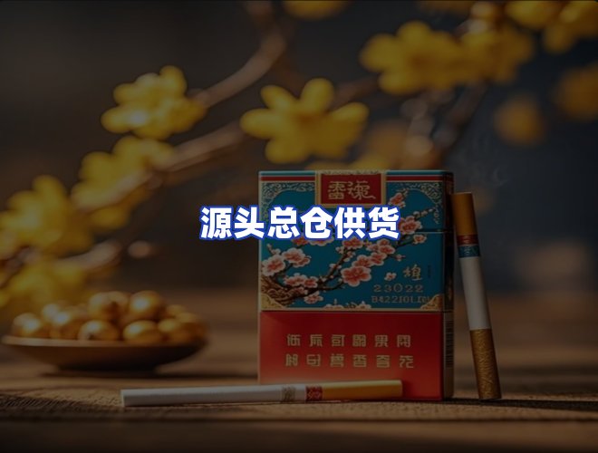 专业团队